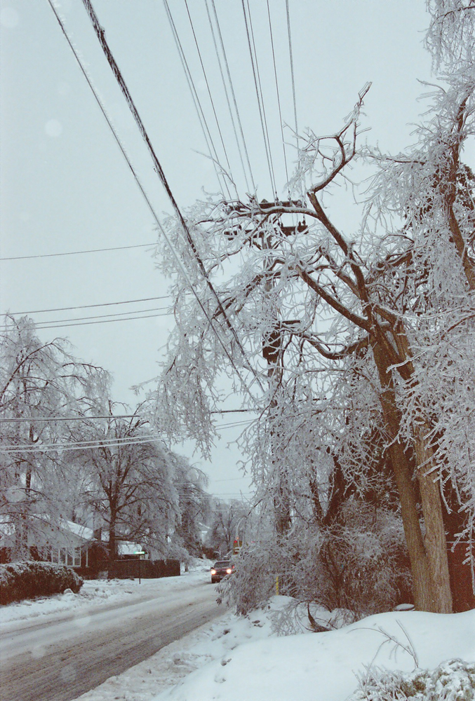1998 Ice Storm (Image 1)